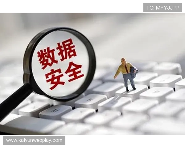 开云官方app入口安全性分析，保障用户账号信息安全的官方入口访问方式